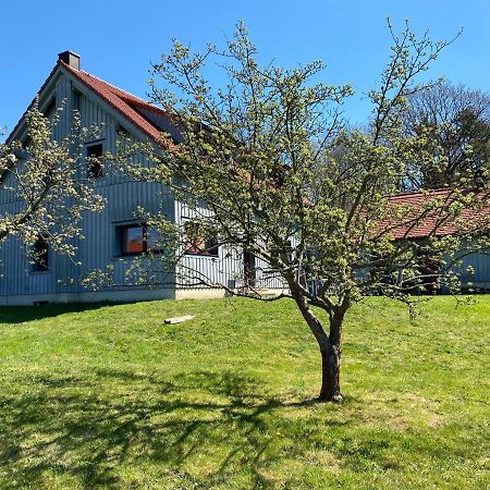 쾨닉슈타인 안 데어 엘베 Waldhaus Am Lilienstein 아파트 외부 사진