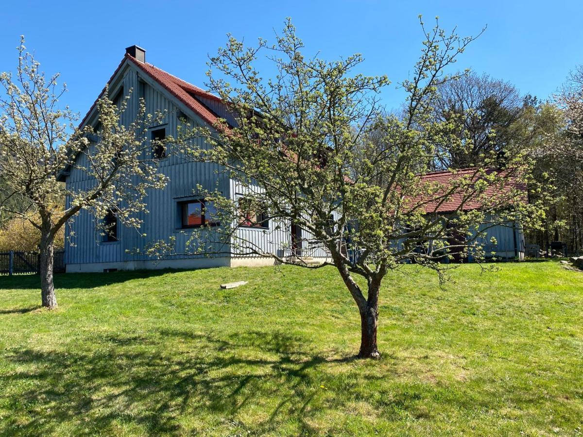 쾨닉슈타인 안 데어 엘베 Waldhaus Am Lilienstein 아파트 외부 사진